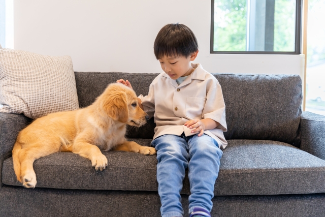 お子様やペットのいるご家庭にも配慮